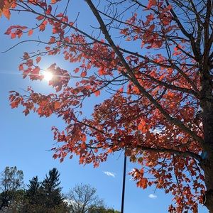 Meet your Posher, Janessa